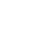 accessToGPT4